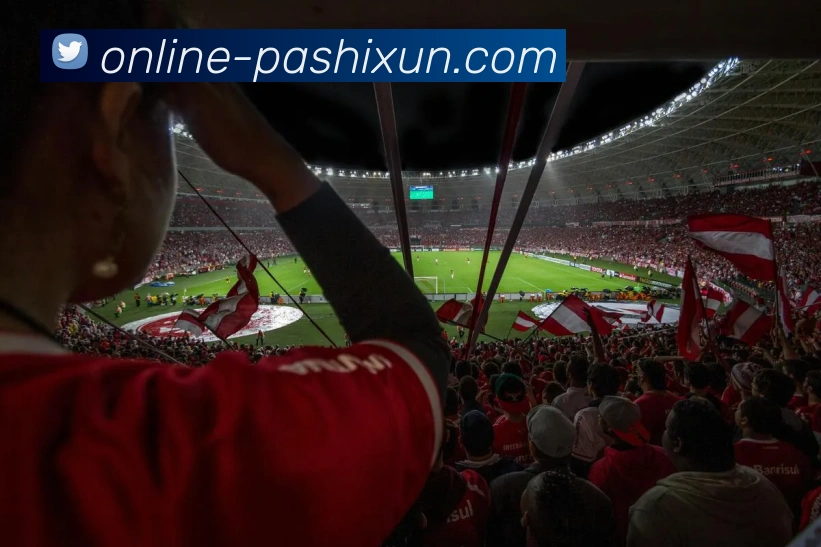 pa视讯服务体系